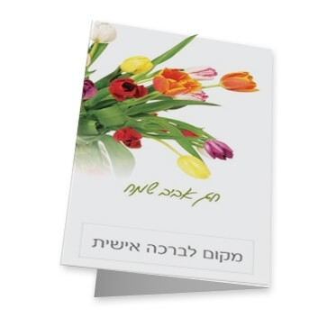 סדרת Spring